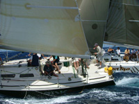 syd38odrace.jpg